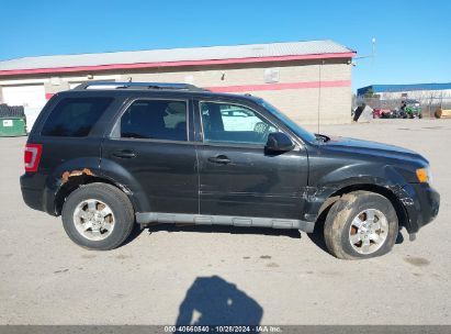 Lot #2992823220 2011 FORD ESCAPE LIMITED