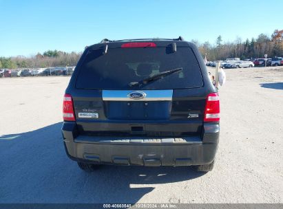 Lot #2992823220 2011 FORD ESCAPE LIMITED