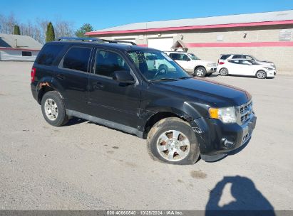 Lot #2992823220 2011 FORD ESCAPE LIMITED