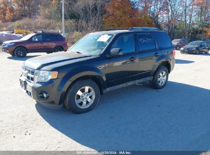 Lot #2992823220 2011 FORD ESCAPE LIMITED