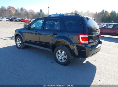 Lot #2992823220 2011 FORD ESCAPE LIMITED