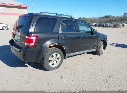 Lot #2992823220 2011 FORD ESCAPE LIMITED