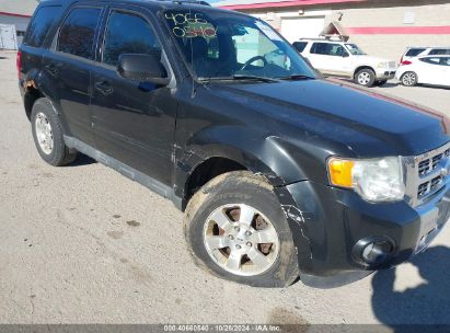 Lot #2992823220 2011 FORD ESCAPE LIMITED