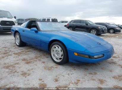 Lot #3035075728 1991 CHEVROLET CORVETTE ZR-1