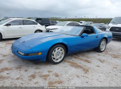 Lot #3035075728 1991 CHEVROLET CORVETTE ZR-1