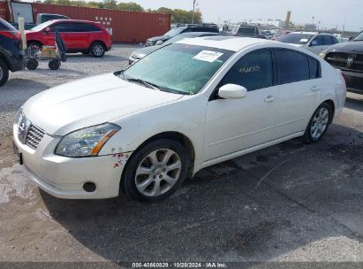 Lot #3053064360 2007 NISSAN MAXIMA 3.5 SL