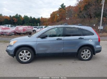 Lot #2992823213 2007 HONDA CR-V EX