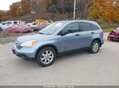 Lot #2992823213 2007 HONDA CR-V EX