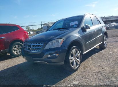 Lot #2992829510 2011 MERCEDES-BENZ ML 350 4MATIC