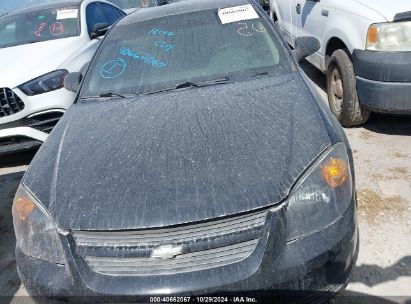 Lot #2996536337 2010 CHEVROLET COBALT LS