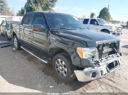 Lot #3035085516 2013 FORD F-150 XLT