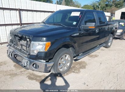 Lot #3035085516 2013 FORD F-150 XLT