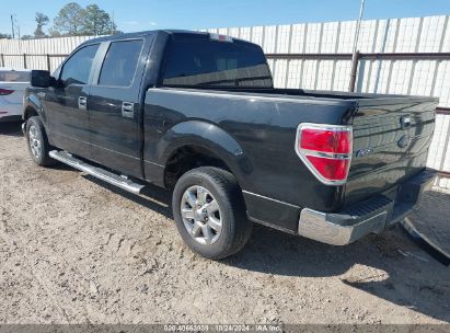 Lot #3035085516 2013 FORD F-150 XLT