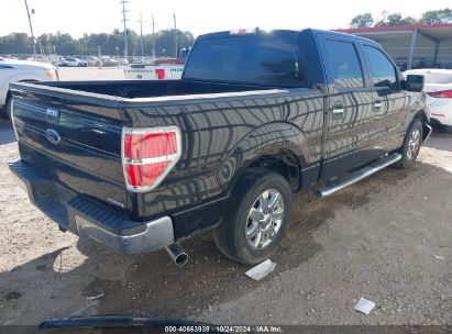 Lot #3035085516 2013 FORD F-150 XLT