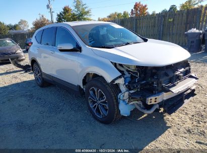 Lot #2992823153 2021 HONDA CR-V 2WD EX-L