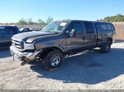 Lot #3000300595 2004 FORD F-250 LARIAT/XL/XLT