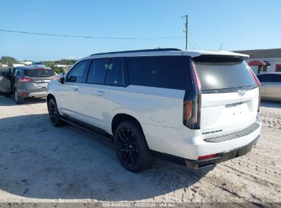 Lot #2992833637 2024 CADILLAC ESCALADE ESV 4WD SPORT