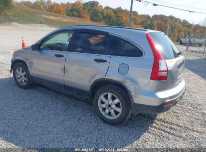 Lot #2995297624 2007 HONDA CR-V EX