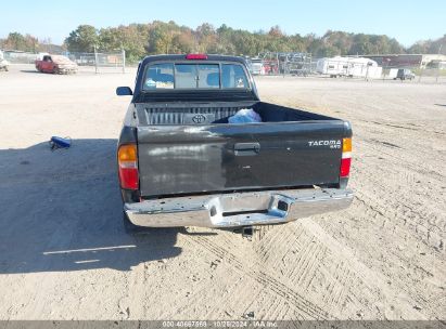 Lot #3005348202 1998 TOYOTA TACOMA