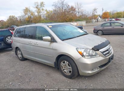 Lot #2995297596 2006 HONDA ODYSSEY EX-L