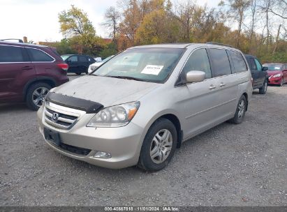 Lot #2995297596 2006 HONDA ODYSSEY EX-L