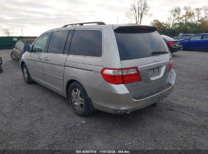 Lot #2995297596 2006 HONDA ODYSSEY EX-L