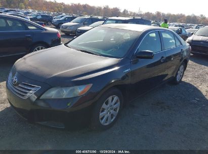 Lot #2992822976 2008 TOYOTA CAMRY HYBRID