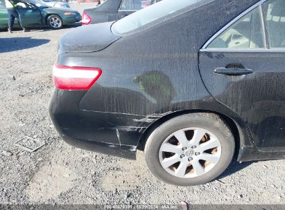 Lot #2992822976 2008 TOYOTA CAMRY HYBRID