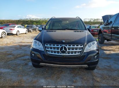 Lot #2992822955 2010 MERCEDES-BENZ ML 350 4MATIC