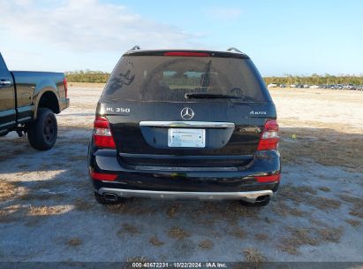 Lot #2992822955 2010 MERCEDES-BENZ ML 350 4MATIC