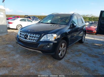 Lot #2992822955 2010 MERCEDES-BENZ ML 350 4MATIC