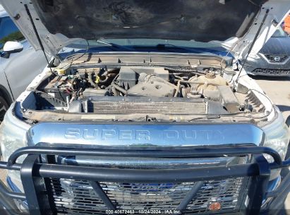 Lot #3000300537 2013 FORD F-250 XLT