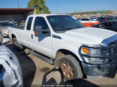 Lot #3000300537 2013 FORD F-250 XLT