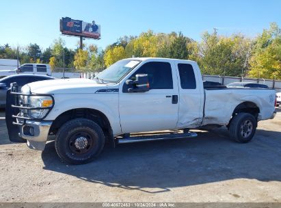 Lot #3000300537 2013 FORD F-250 XLT