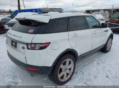 Lot #2992820753 2013 LAND ROVER RANGE ROVER EVOQUE PURE