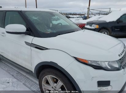 Lot #2992820753 2013 LAND ROVER RANGE ROVER EVOQUE PURE