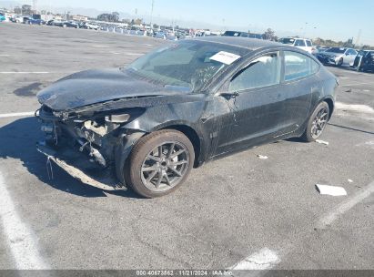 Lot #3035095392 2023 TESLA MODEL 3 REAR-WHEEL DRIVE