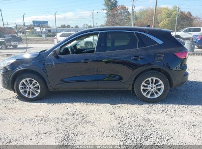 Lot #2992817159 2021 FORD ESCAPE SE