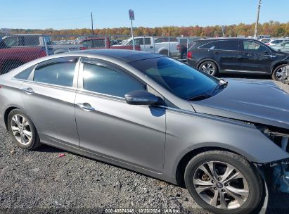 Lot #2991586592 2013 HYUNDAI SONATA LIMITED