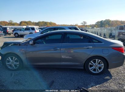 Lot #2991586592 2013 HYUNDAI SONATA LIMITED