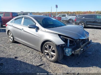 Lot #2991586592 2013 HYUNDAI SONATA LIMITED