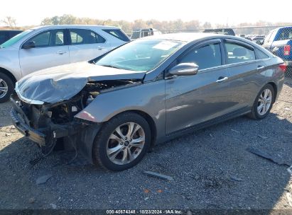 Lot #2991586592 2013 HYUNDAI SONATA LIMITED