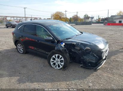 Lot #3035075307 2023 FORD ESCAPE ACTIVE