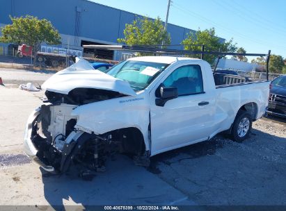 Lot #2992832772 2021 CHEVROLET SILVERADO 1500 2WD  LONG BED WT