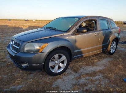 Lot #2995281083 2012 DODGE CALIBER SXT