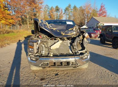 Lot #3036721851 2023 FORD F-150 XLT