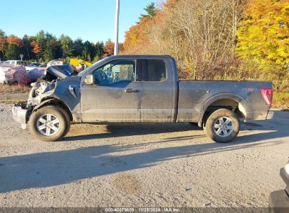 Lot #3036721851 2023 FORD F-150 XLT