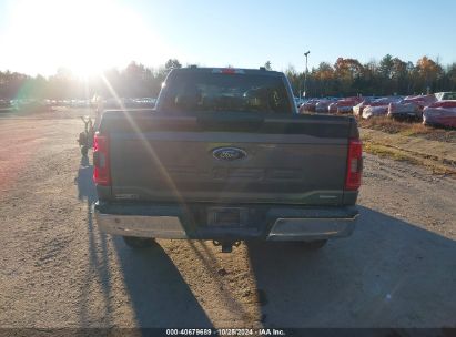 Lot #3036721851 2023 FORD F-150 XLT