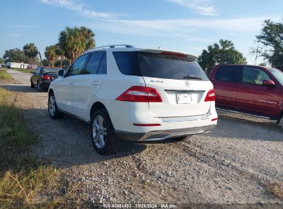 Lot #2984232419 2014 MERCEDES-BENZ ML 350