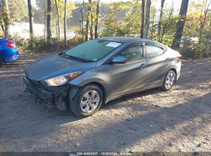 Lot #2995297224 2016 HYUNDAI ELANTRA SE